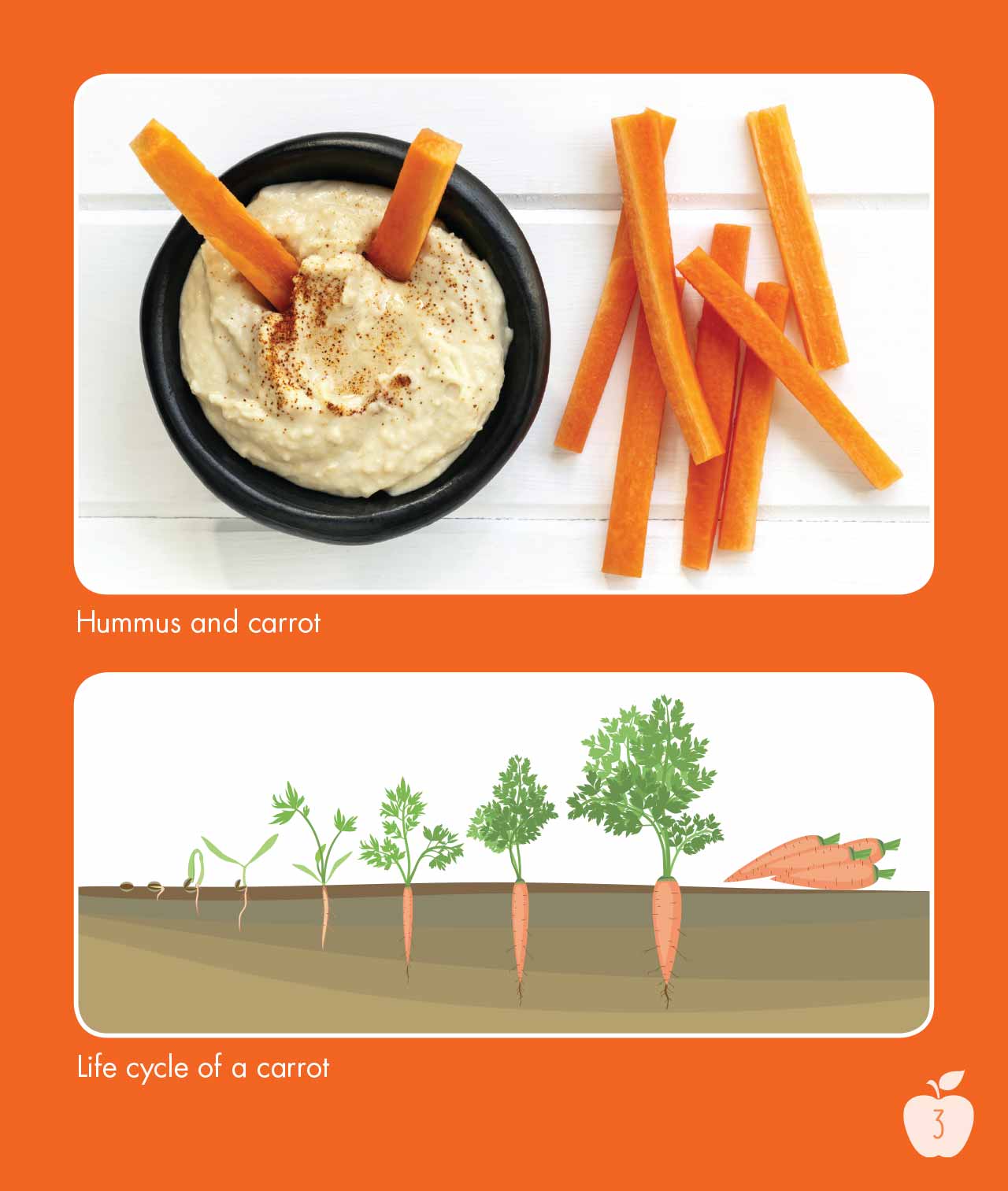 how-does-your-snack-grow-ins-3-sunshine-books-new-zealand